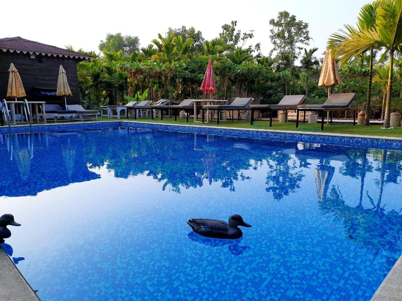 Go Green Spice & Eco Resort Cavelossim Buitenkant foto