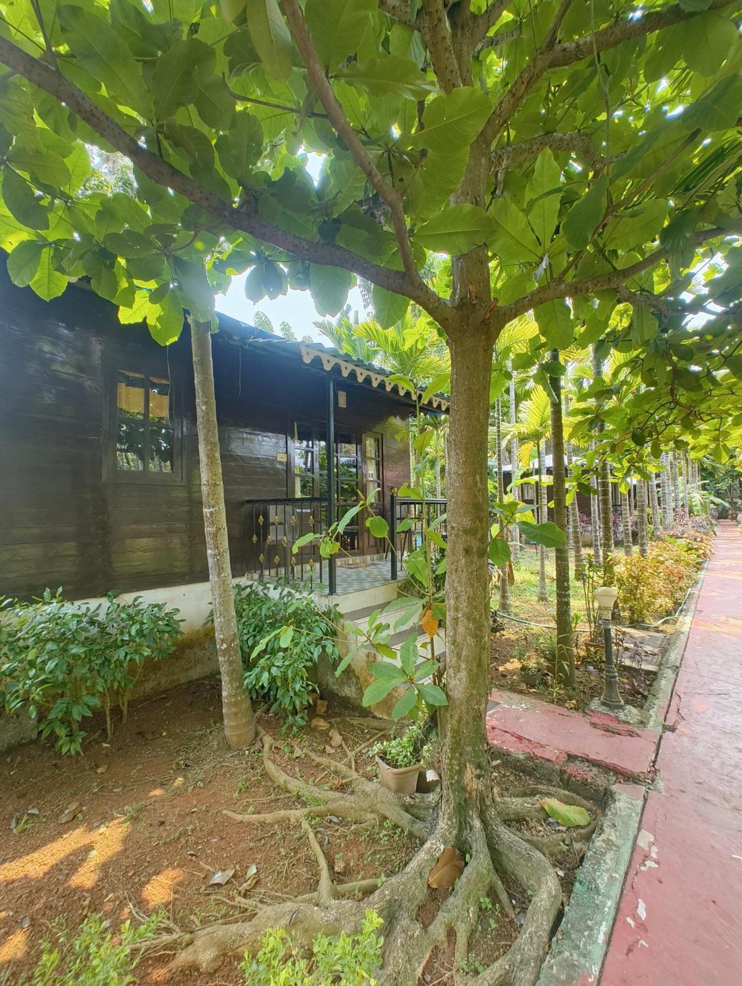 Go Green Spice & Eco Resort Cavelossim Buitenkant foto