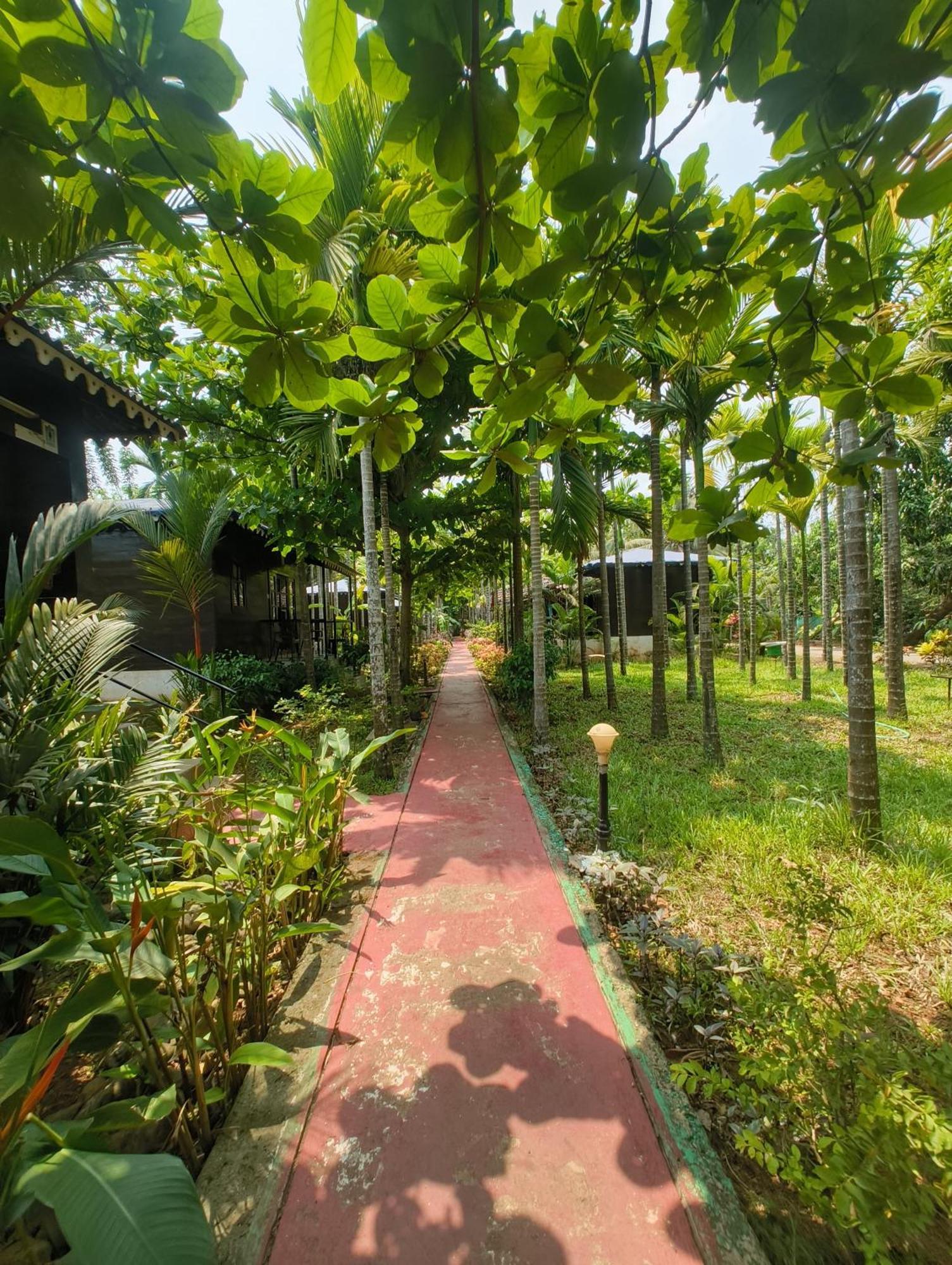 Go Green Spice & Eco Resort Cavelossim Buitenkant foto